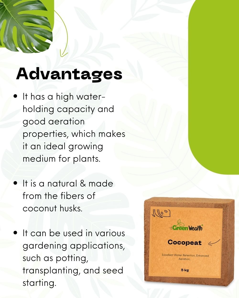 Cocopeat 5 Kg