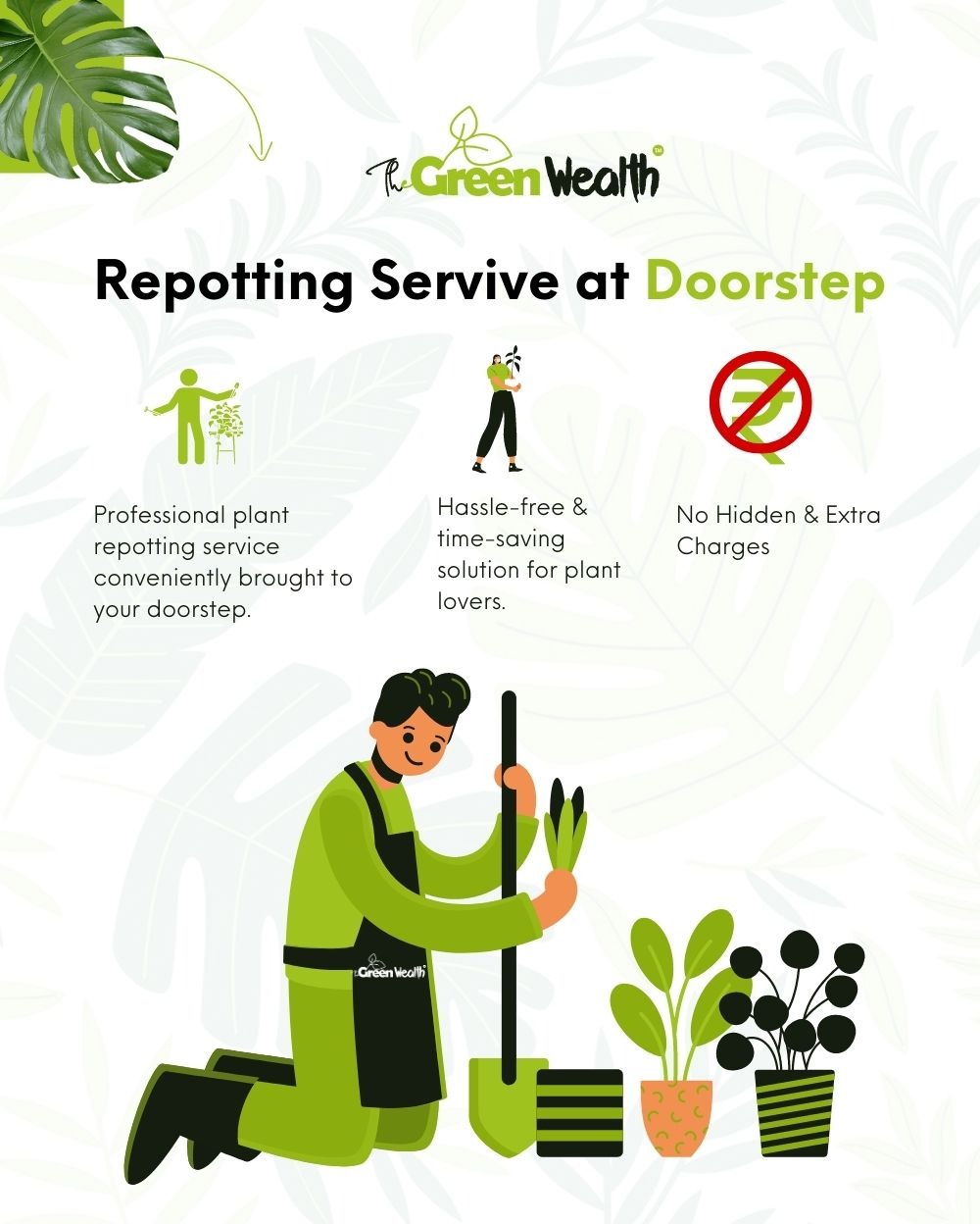 Repotting Service 