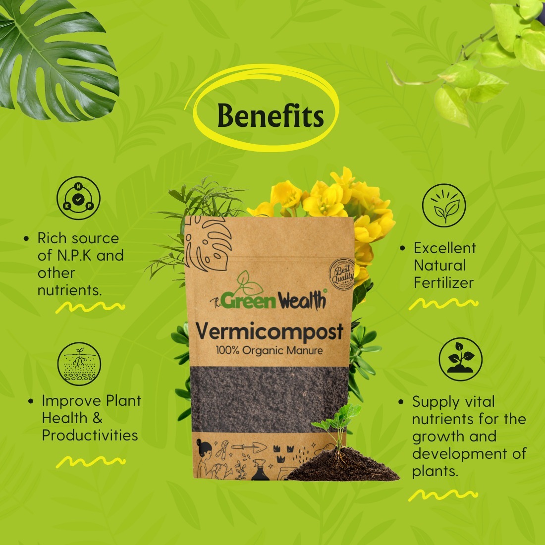 TheGreenWealth Vermicompost - 1 KG