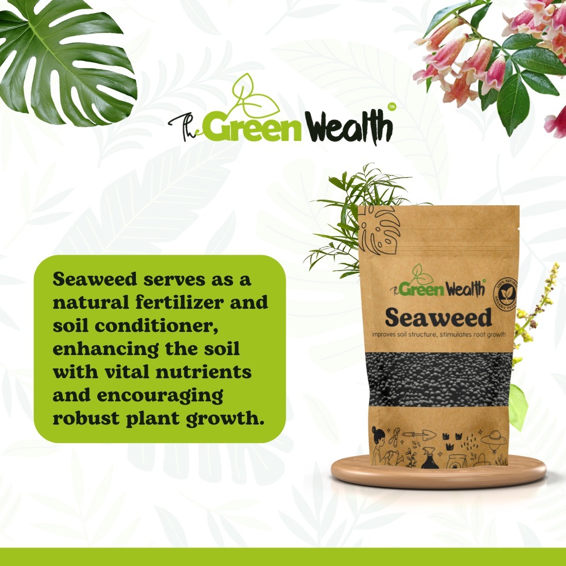 TheGreenWealth Seaweed Extract Granules Organic Fertilizer for Plants - 2 KG