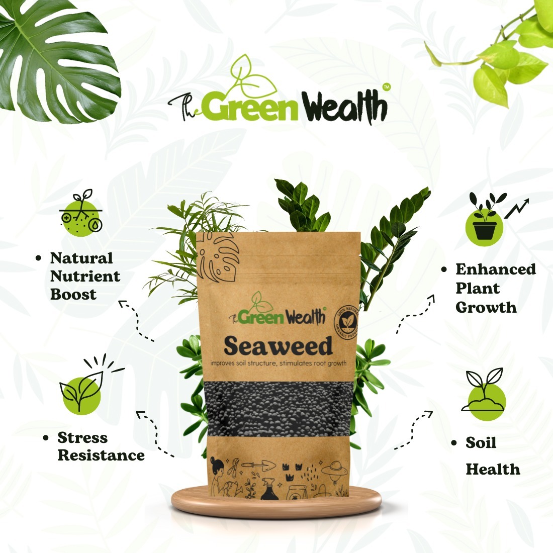 TheGreenWealth Seaweed Extract Granules Organic Fertilizer for Plants - 2 KG