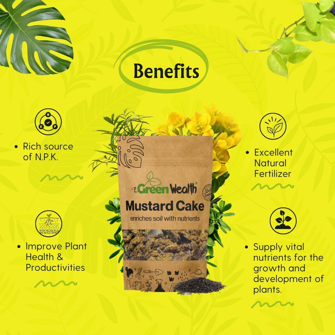 TheGreenWealth Mustard Cake Organic Fertilizer - 1000 GM