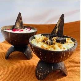 Coconut Shell Dessert Bowl