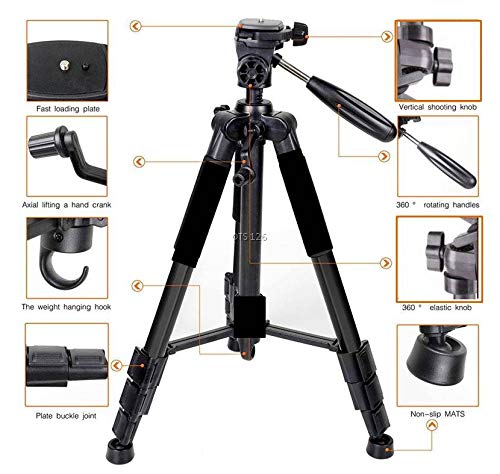 Tripod-3388 Arrive Shooting Angle Lightweight Camera Stand Tripod Kit Tripod