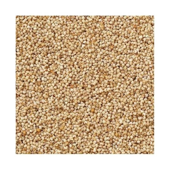 Victory Poppy Seeds/Posto Dana (Loose) - 50g