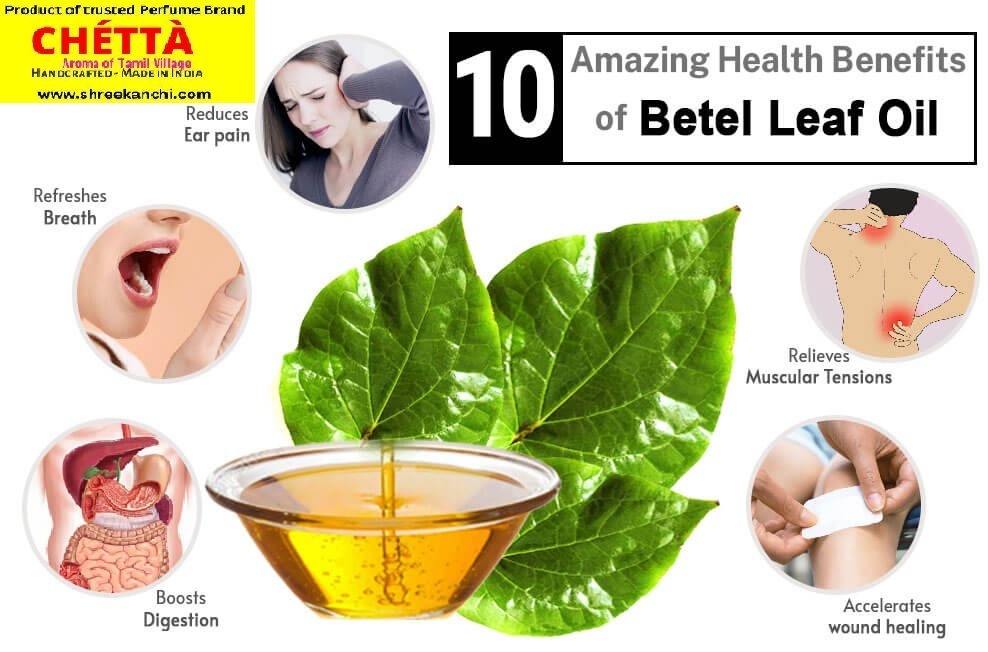 Betel leaf - 15 ml