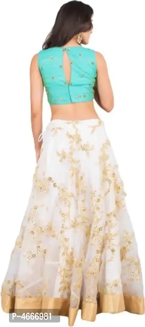 Lehenga Choli M.s - Free Size