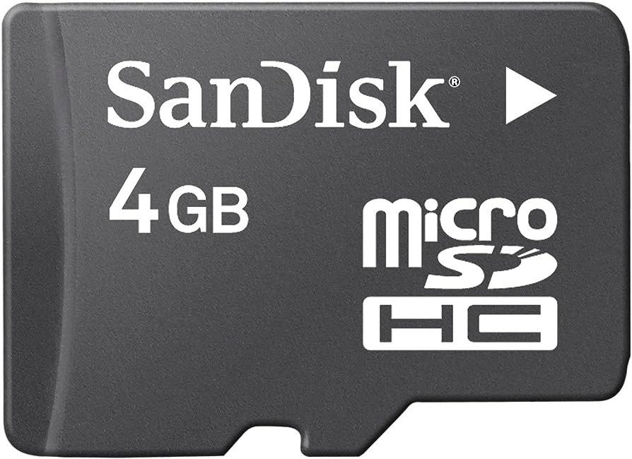 Sandisk 4GB Memory Card - Black