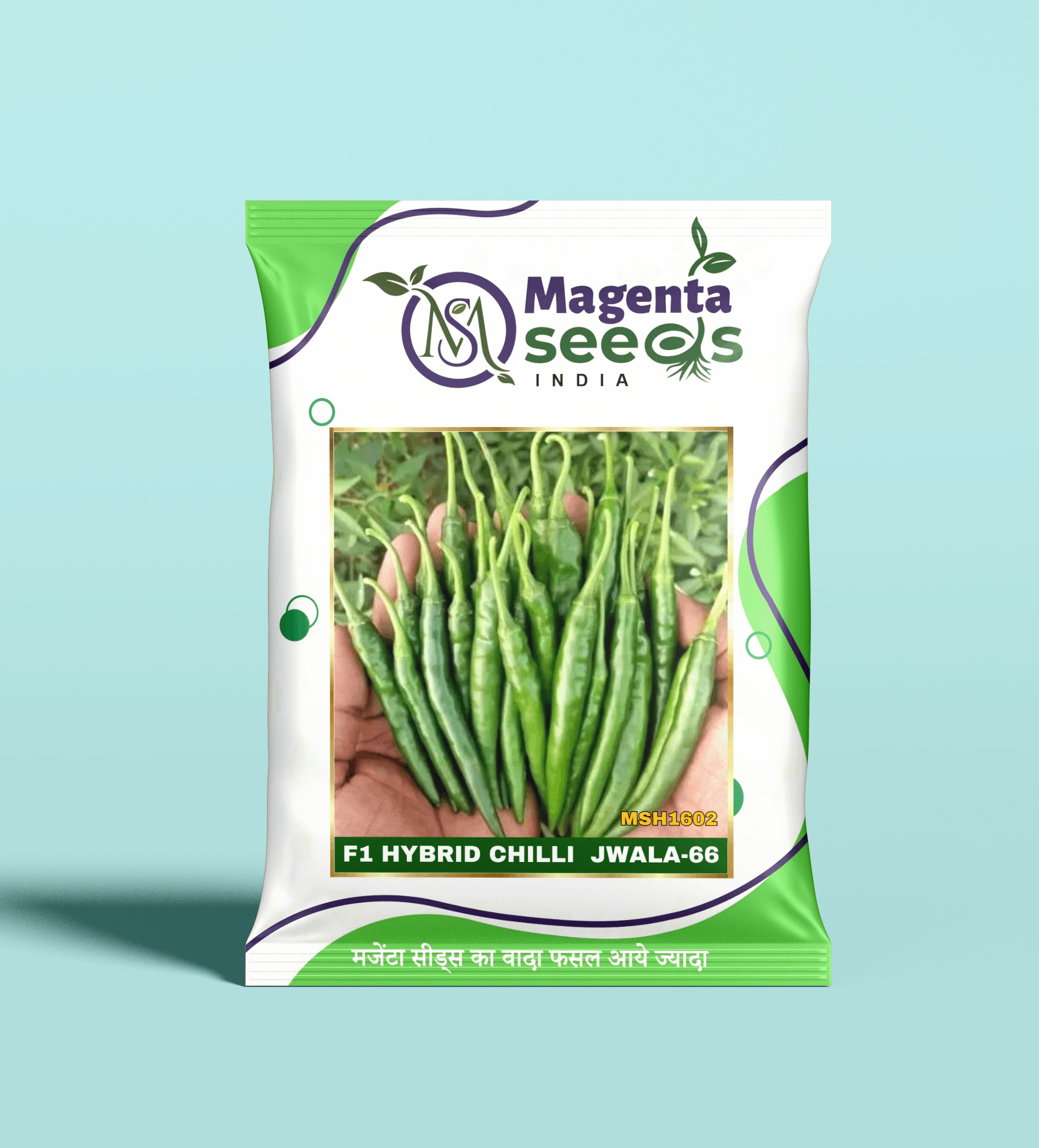 JWALA-66-Hybrid Chilli Gourd Seeds