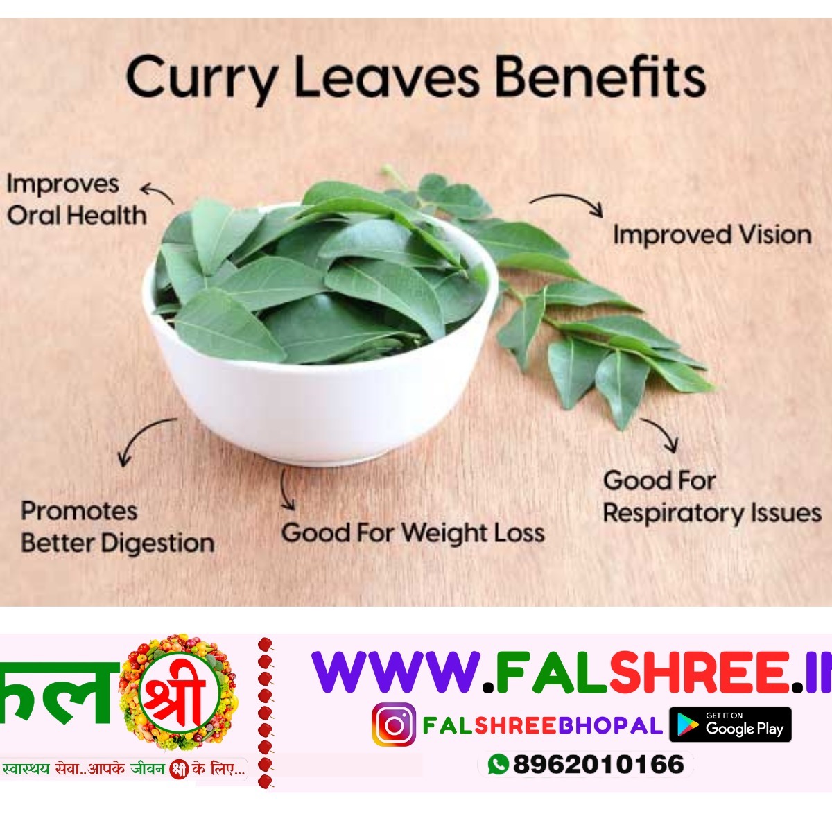 CURRY LEAF (कड़ी पत्ता) - 1