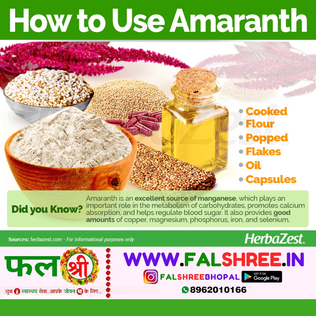 AMARANTH LEAVES (चोलाई लाल भाजी ) - 1