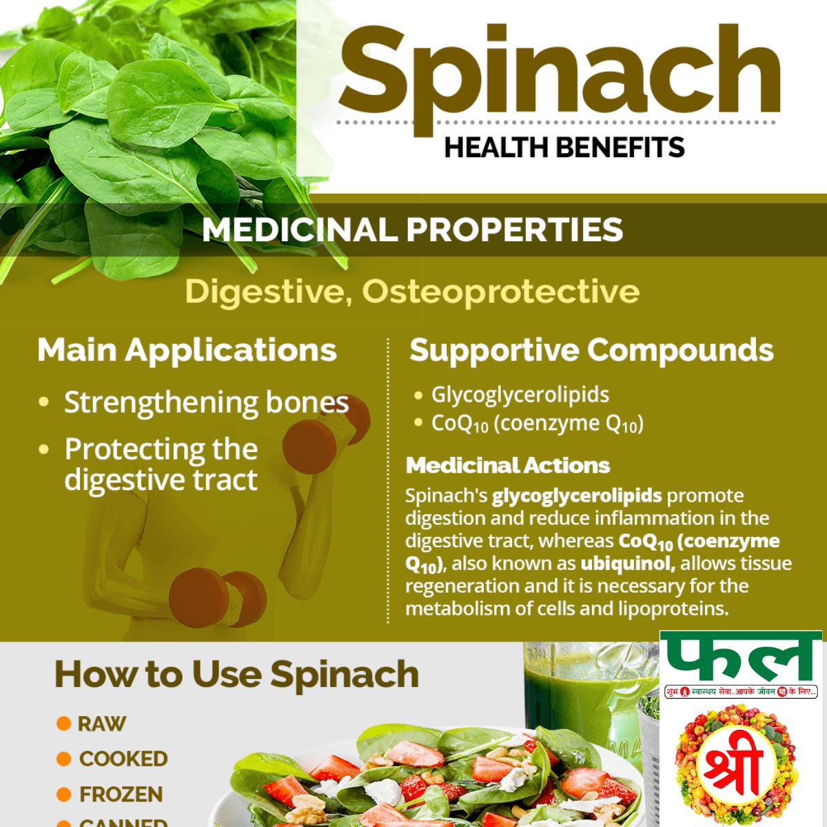 Fresh & Fine SPINACH (पालक)