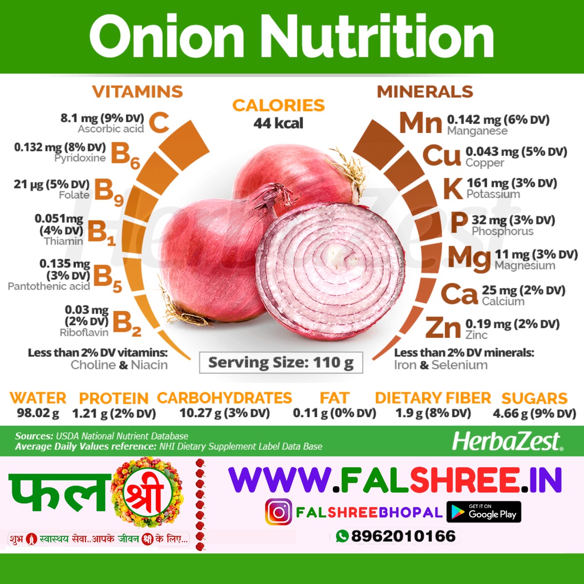 ONION OLD (प्याज पुराना) - 500