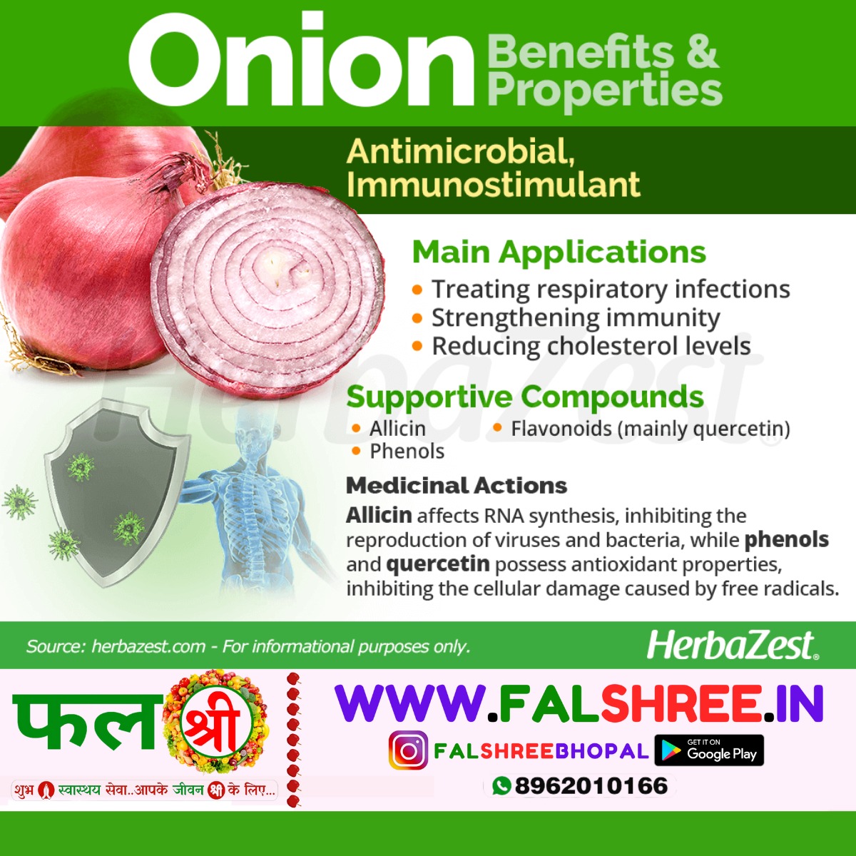 ONION OLD (प्याज पुराना) - 500