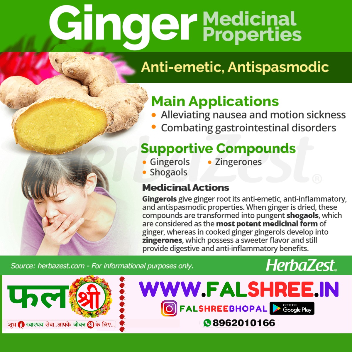 GINGER OLD (अदरक पुराना) - 1kg