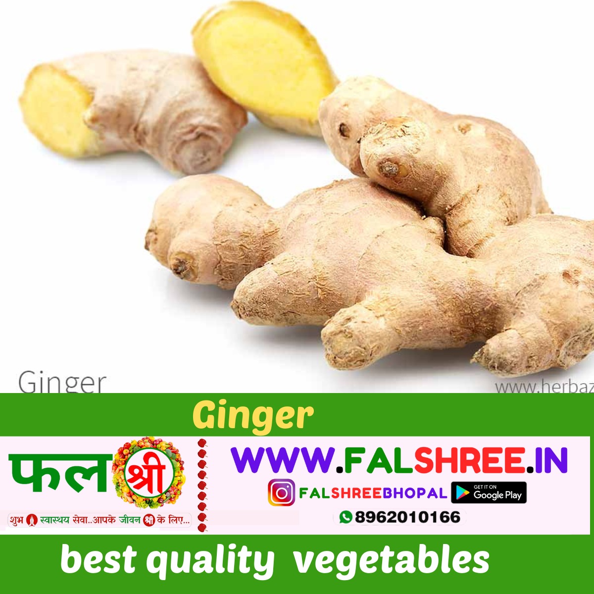 GINGER OLD (अदरक पुराना) - 1kg