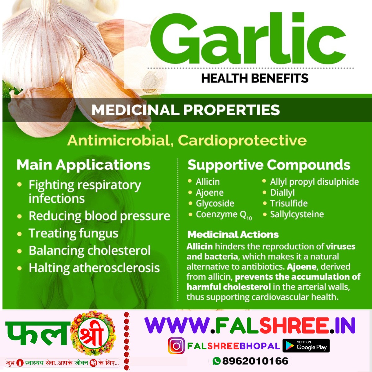 GARLIC OLD (लहसुन पुराना) - 250