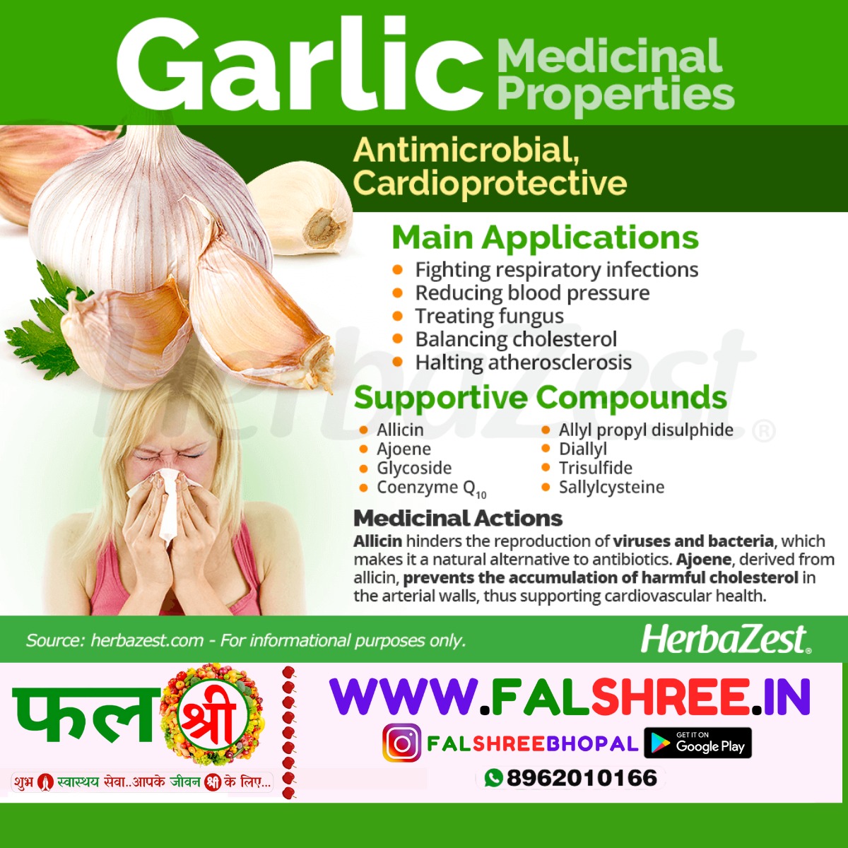 GARLIC NEW (लहसुन नया) - 250