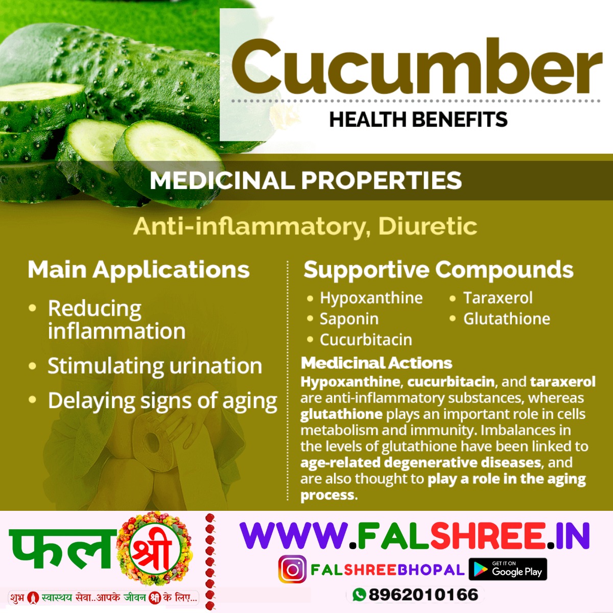 CUCUMBER (खीरा ) - 250