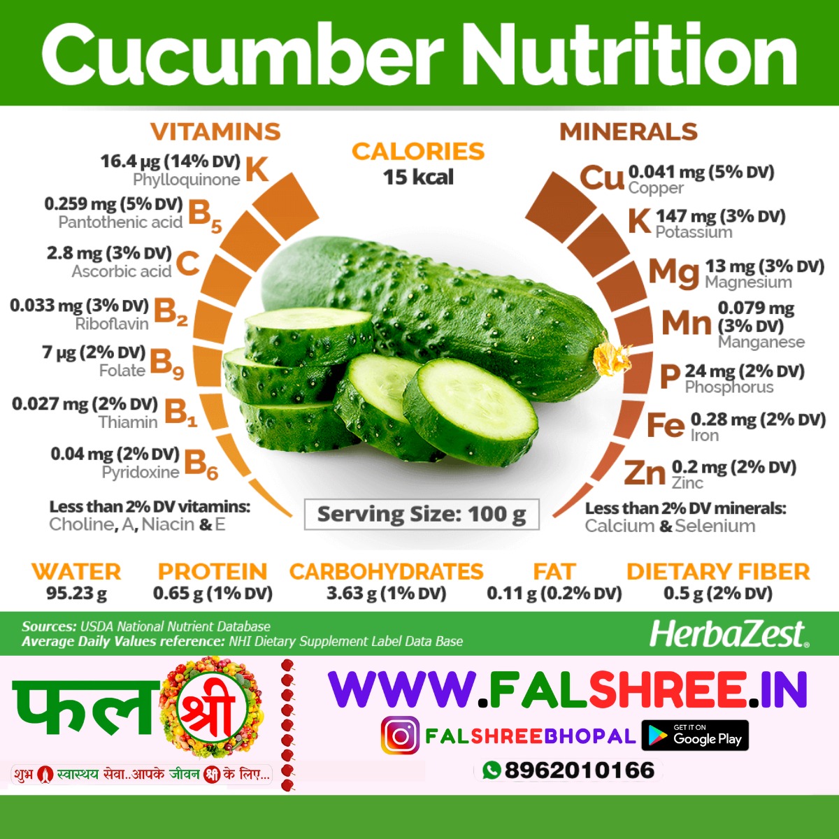 CUCUMBER (खीरा ) - 250