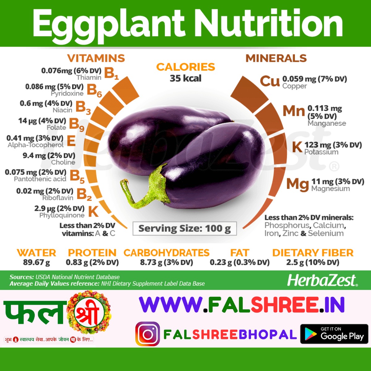 EGGPLANT (काला बड़ा बैगन ) - 250g