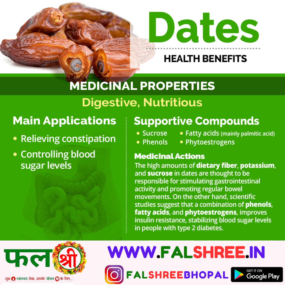 DATE FRUIT (खजूर)