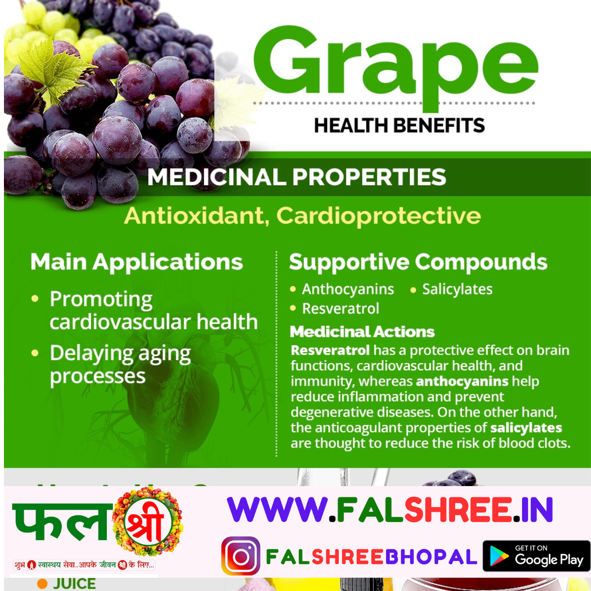 GRAPES BLACK (काले अंगूर) - 500