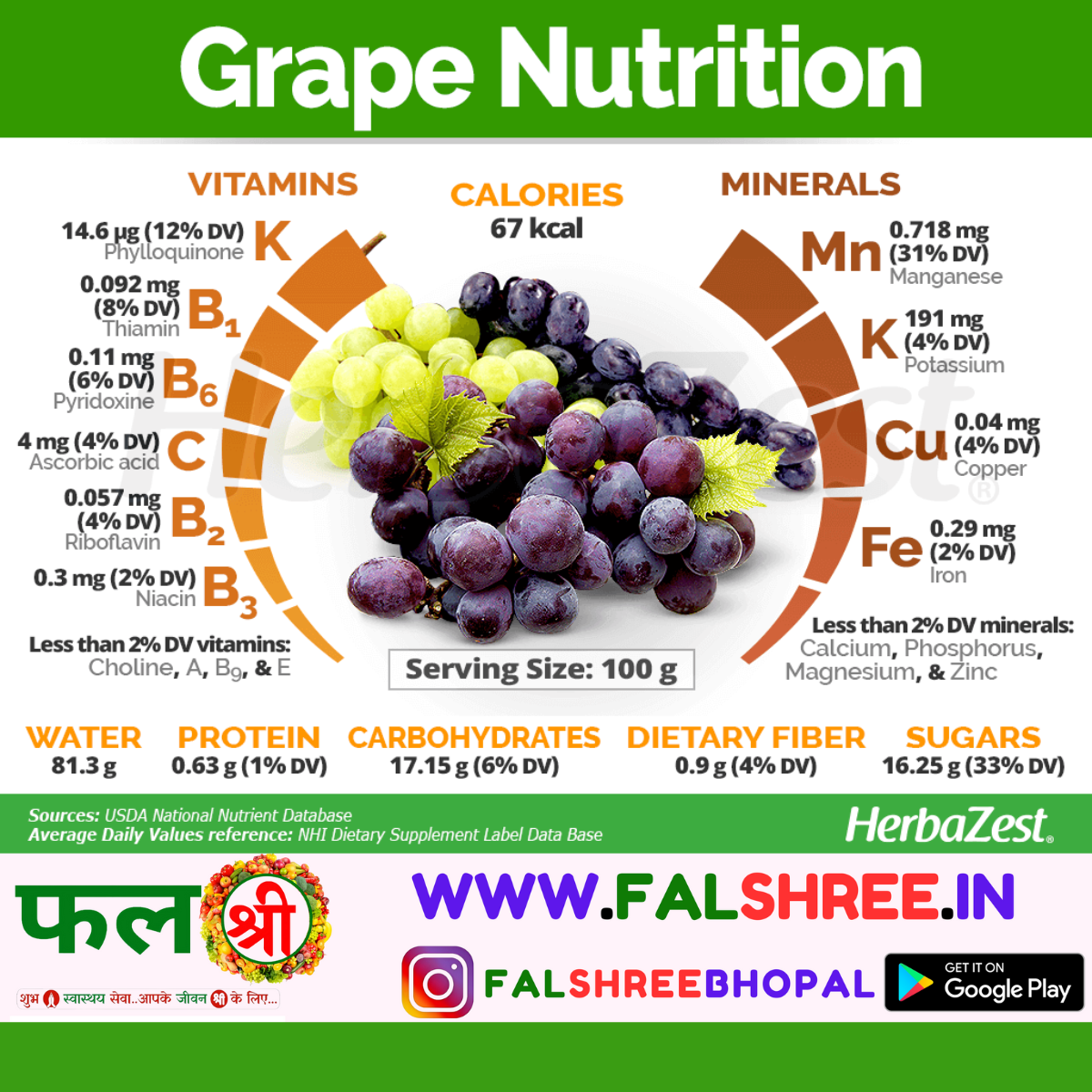 GRAPES BLACK (काले अंगूर) - 500