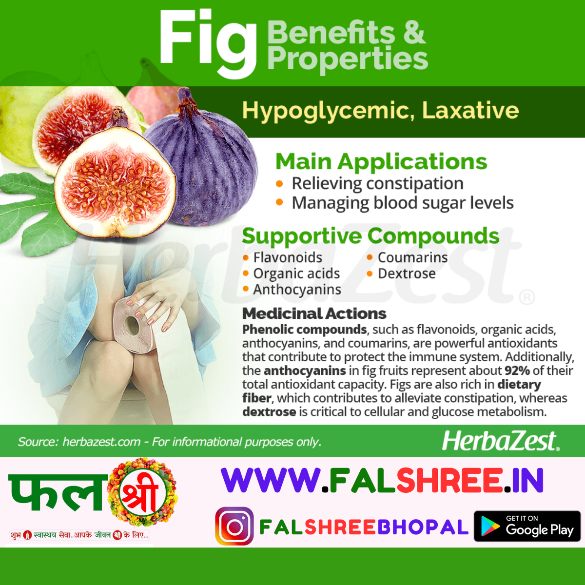 FIG FRUIT(अंजीर का फल )