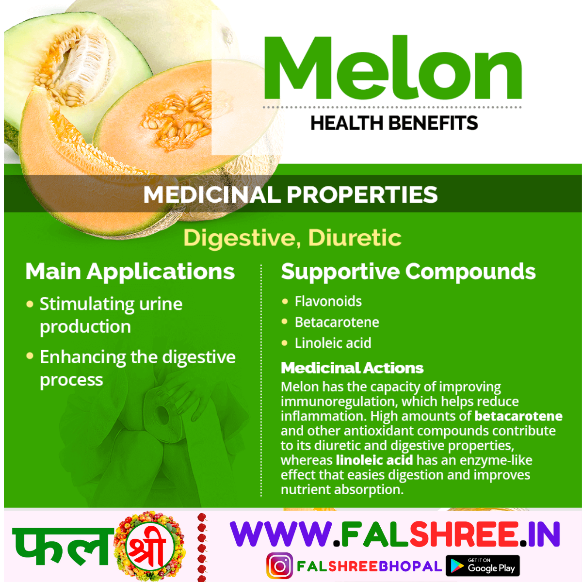 MUSKMELON (खरबूजा)