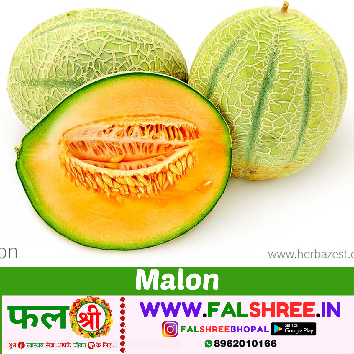 YELLOW MUSKMELON(पीला खरबूजा)