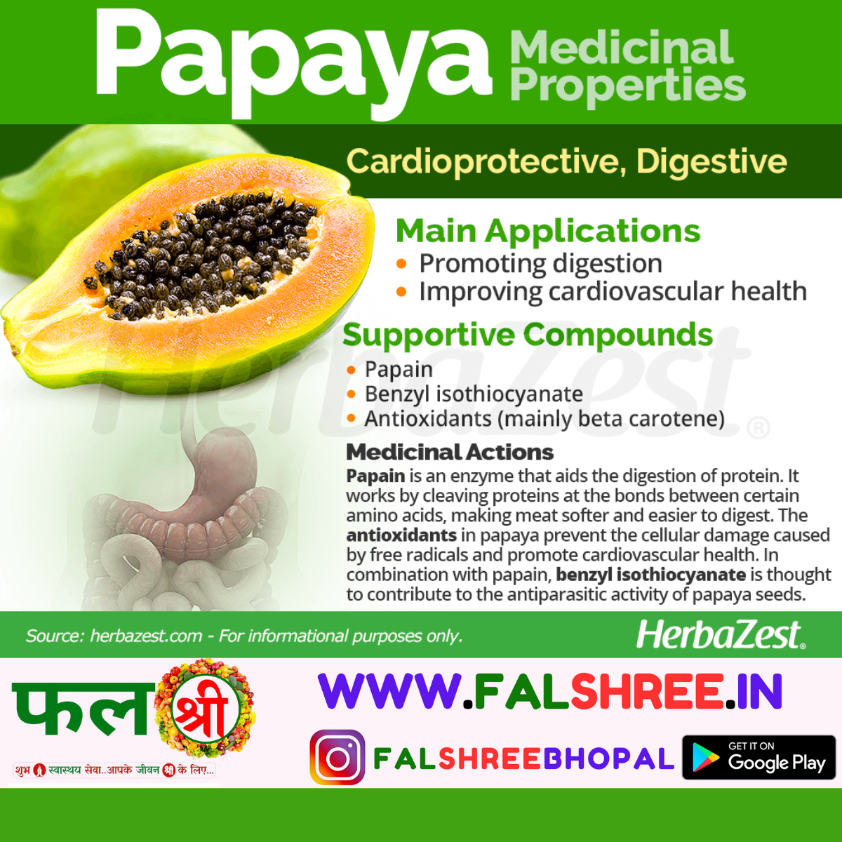 PAPAYA  HYBRID (पपीता हाइब्रिड)  - 500