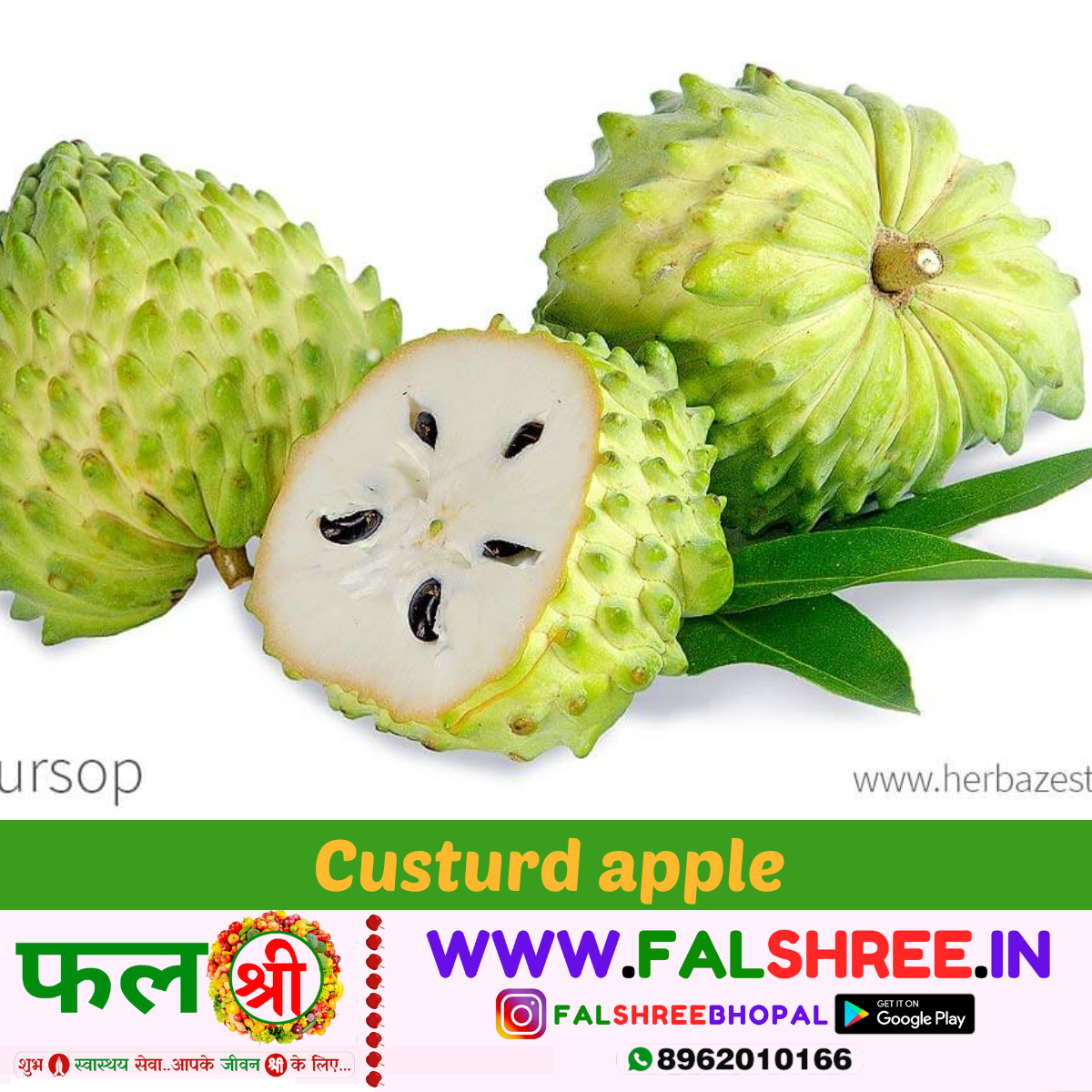 CUSTURD APPLE  (सीताफल) - 500