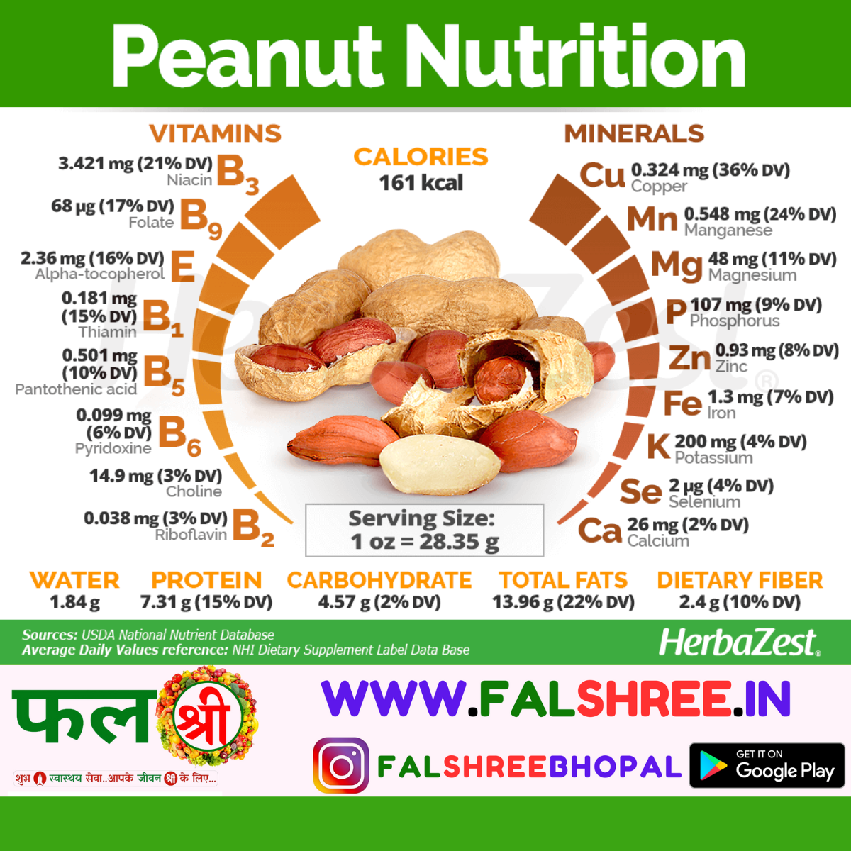 Peanuts With Shell (छिलके वाली मूँगफली)