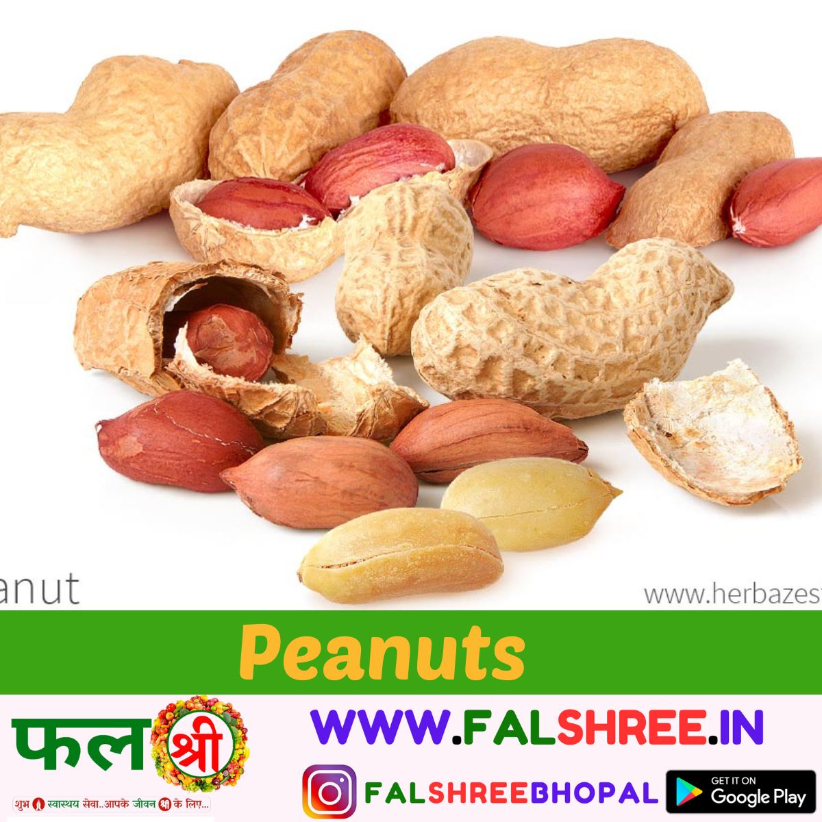 Peanuts With Shell (छिलके वाली मूँगफली)