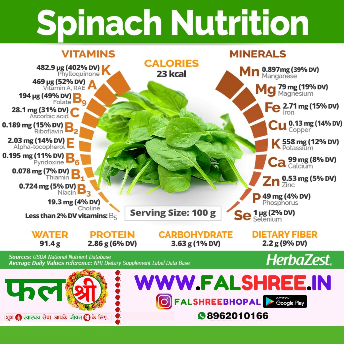 Fresh & Fine SPINACH (पालक) - 1