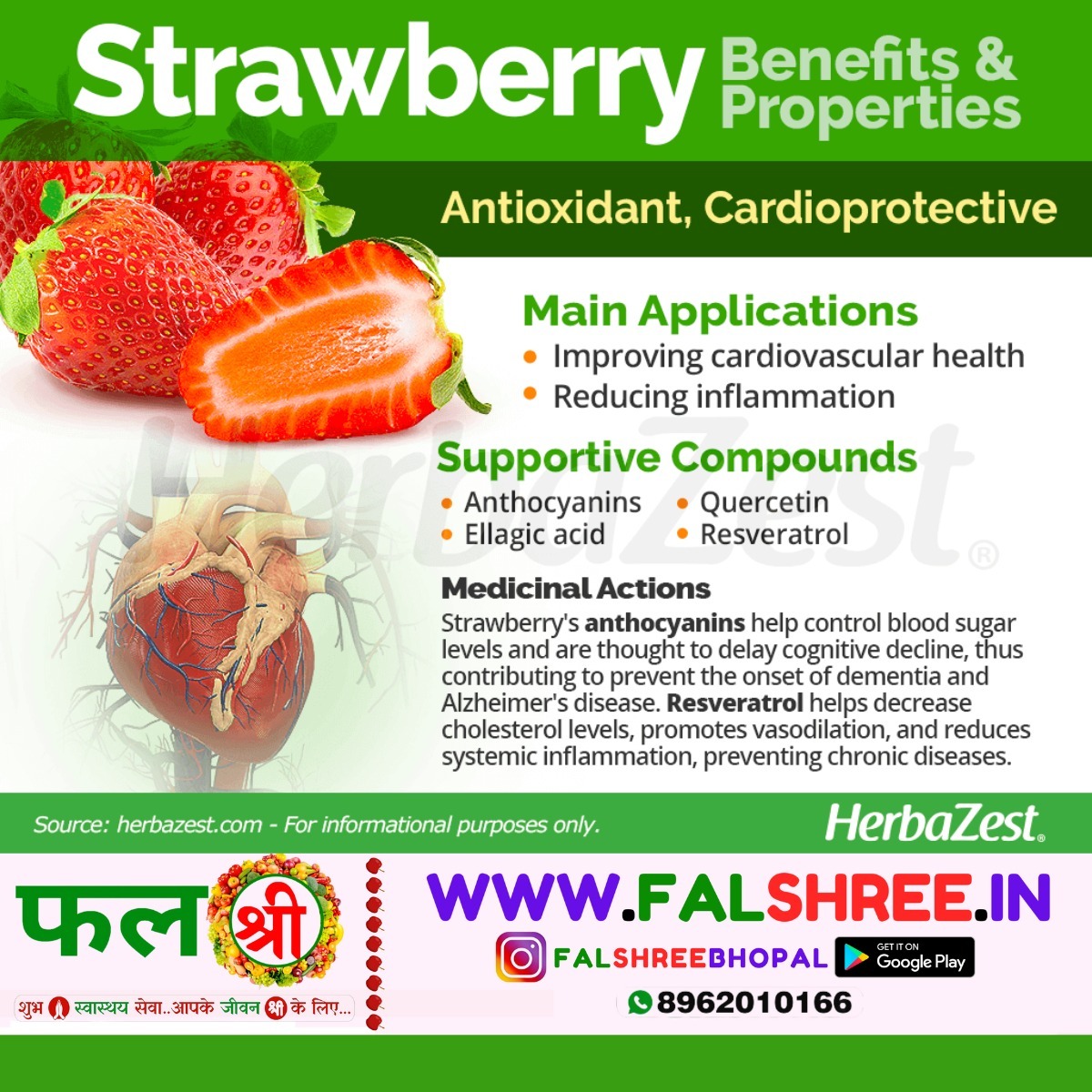 STRAWBERRY (स्ट्राबेरी ) - 250g