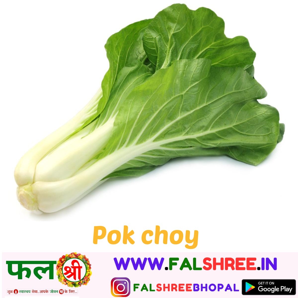 POK CHOY (पोक चोय)