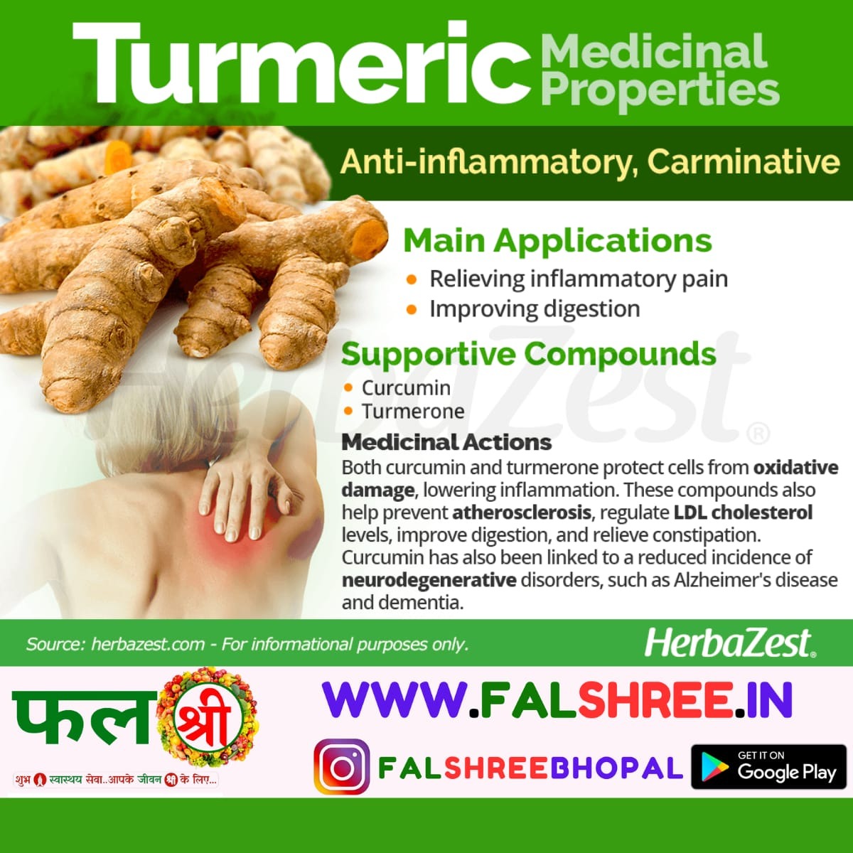 कच्ची हल्दी TURMERIC - 250