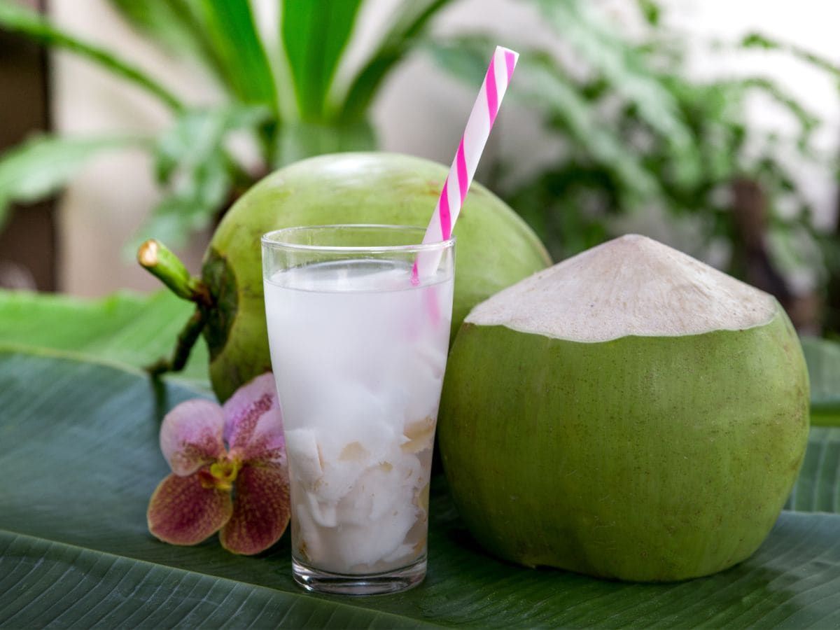 COCONUT (नारियल ) पानी वाला 