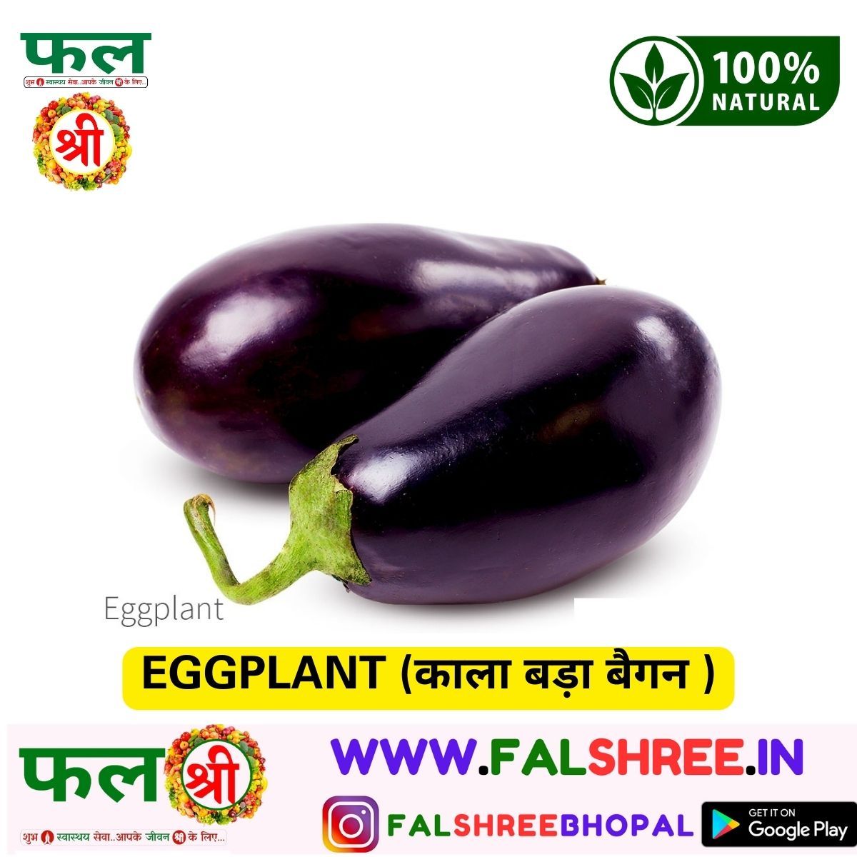 EGGPLANT (काला बड़ा बैगन ) - 250g