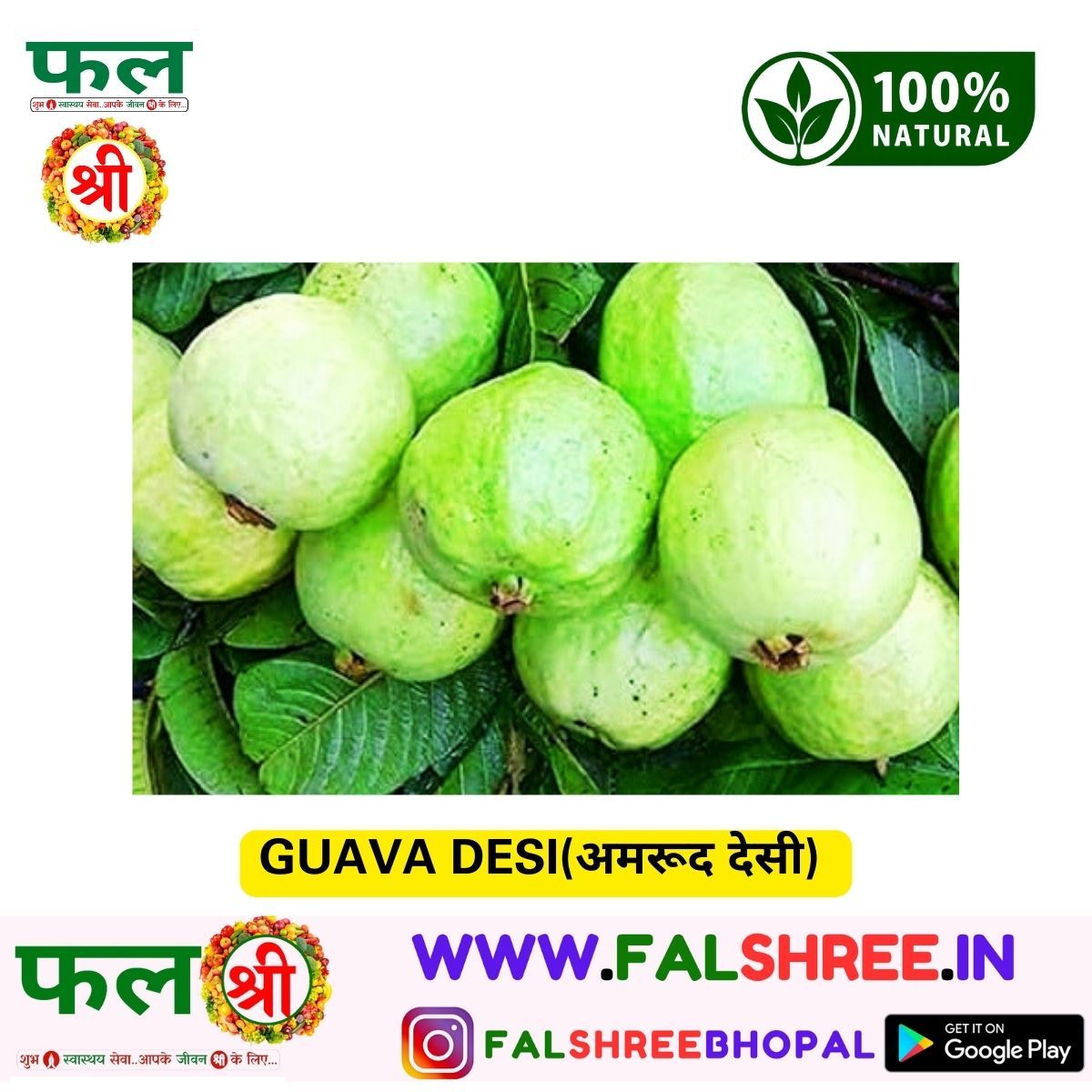 GUAVA DESI(अमरूद देसी)  - 250g