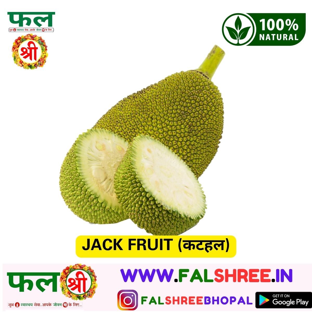 JACK FRUIT (कटहल) - 250g