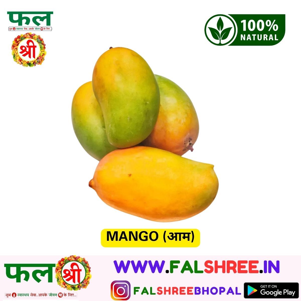 MANGO (आम)