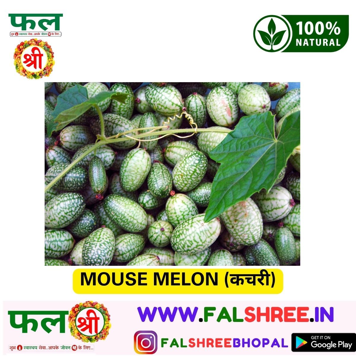 MOUSE MELON (कचरी)