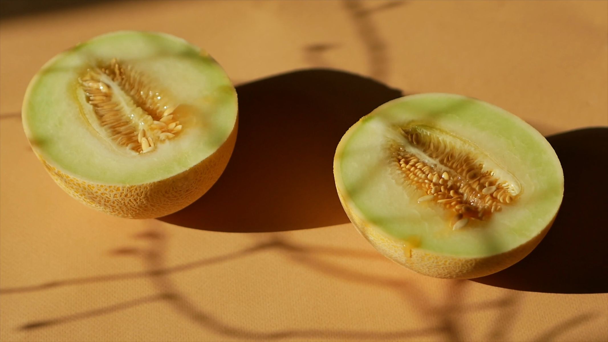 YELLOW MUSKMELON(पीला खरबूजा)