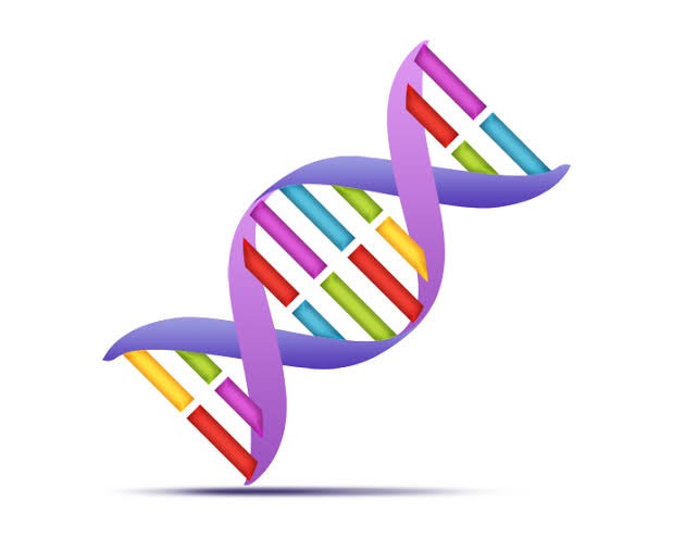 Thyroglobulin (THG)