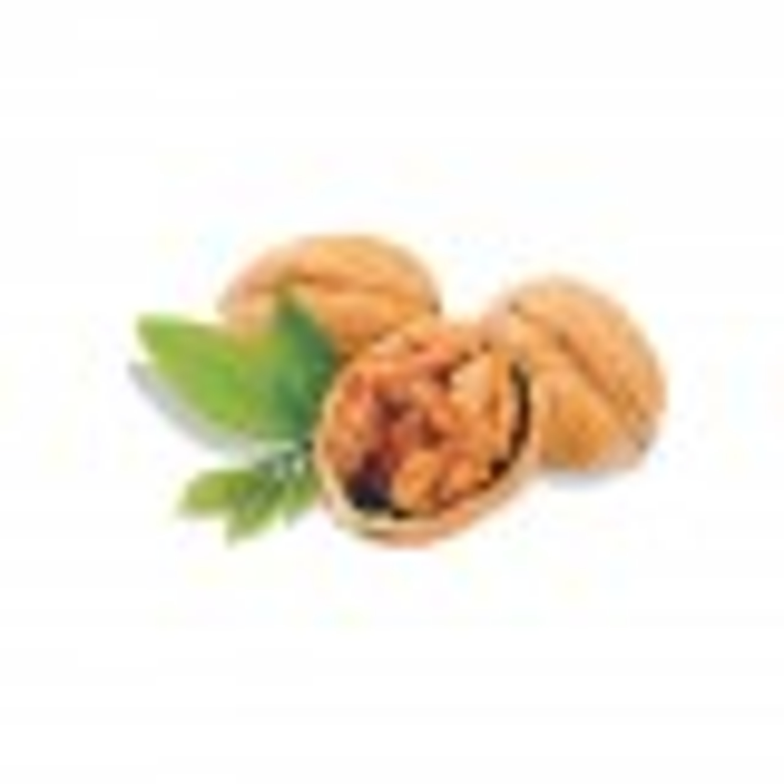 Tulsi Walnut Inshell ExtraSelect 500g