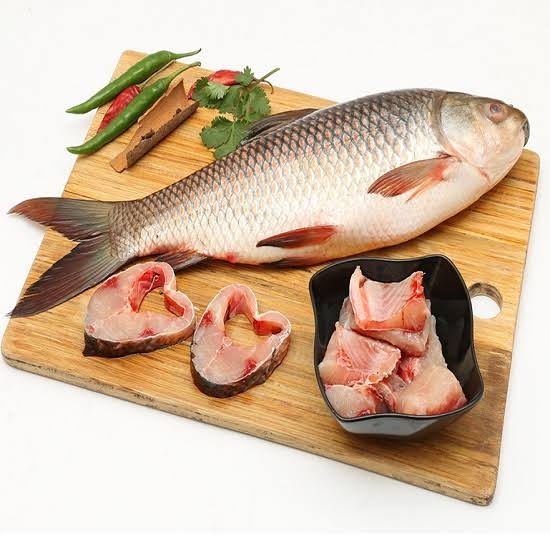 Fish - Katla