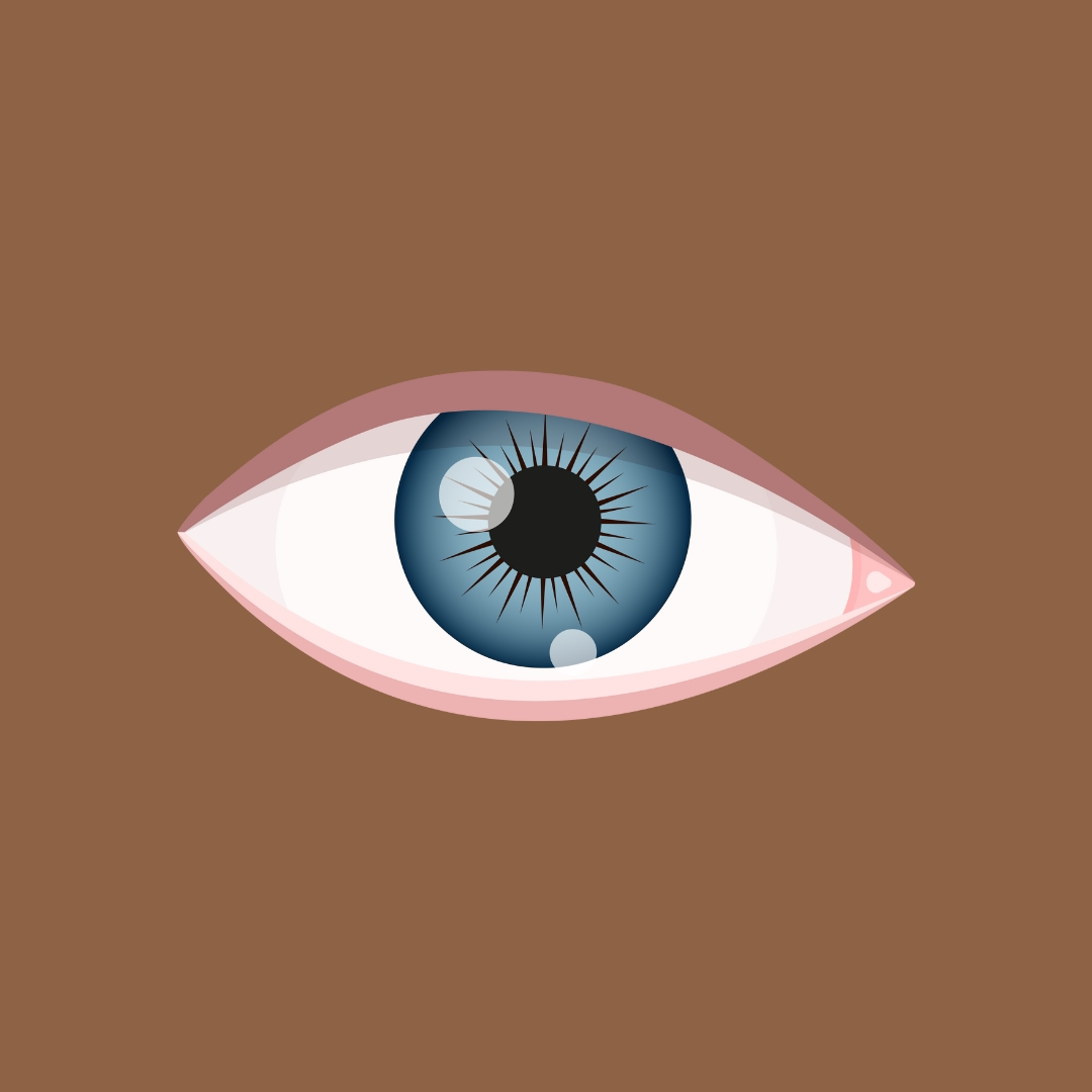 नेत्र EYE